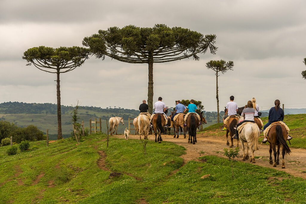 Serra Catarinense