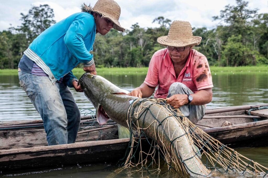 Parintins, Amazonas